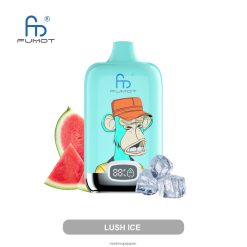 4LP42P7 Fumot Original RandM Digital Box 12000 バッテリーと液体ディスプレイ VAPE デバイス 豊かな氷 - RandM Tornado Store