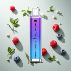 ハヤティPro Max 4000パフ ブルーベリーレーズベリー リチャージャブル