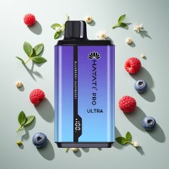 Hayati Pro Ultra 15000パフ ブルーベリーレーズンベリー