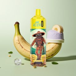 JNR Alien 10000パフ バナナアイス 850mAh