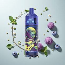 JNR Alien 10000パフ ブルーベリー・オン・アイス RGB