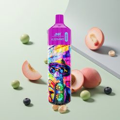 JNR Alien Max 18000 パフ ピーチブルーベリーキャンディ デュアルメッシュコイル