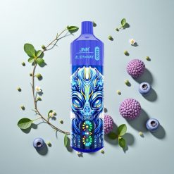 JNR Alien Max 18000 プッフ ブルーベリーオンアイス デュアルメッシュコイル