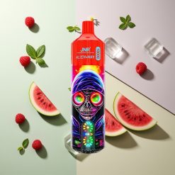 JNR Alien Max 18000 ラズベリーウォーターメロンアイス デュアルメッシュコイル