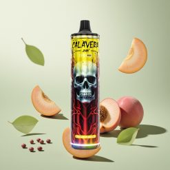 JNR Calavera 11000 850 ピーチマンゴー