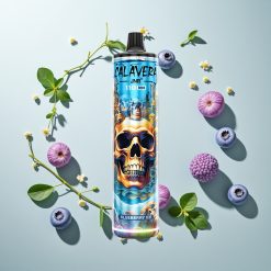 JNR Calavera 11000 Puffs ブルーベリーアイス 850mAh