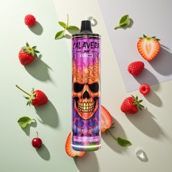 JNR Calavera 11000パフ ストロベリーラズベリーチェリーアイス 850mAh