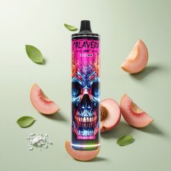 JNR Calavera 11000パフ ピーチアイス 1.0オームメッシュコイル