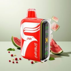 JNR Capsule 15000 Puffs スイカアイス Dual Mesh Coil