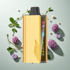 JNR Cruiser 12000 ブラックベリーアイス デュアルメッシュコイル