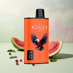 JNR EAGLE Smart 23000 パフス ウォーターメロンバブルガム 1.0オームメッシュコイル