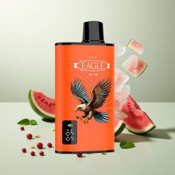 JNR EAGLE Smart 23000 パフス スイカアイス 1.0オームメッシュコイル