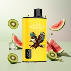 JNR EAGLE Smart 23000 プッフス キウイウォーターメロンアイス デジタルスクリーン