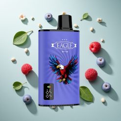 JNR EAGLE Smart 23000プーフ ブルーレズチェリー 750mAh