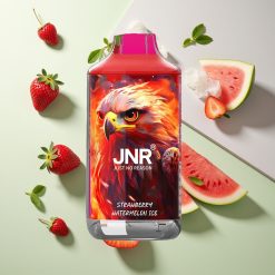 JNR Falcon 16000パフ ストロベリーメロンアイス デュアルメッシュコイル