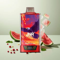 JNR Falcon Pro 28000 スイカアイス スマートディスプレイ