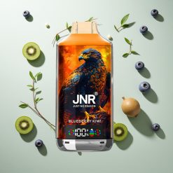 JNR Falcon X 18000 パフ ブルーベリーキウイ 24ml