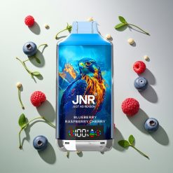 JNR Falcon X 18000 プーフ ブルーベリーラズベリーチェリー