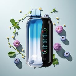 JNR Flex Ice 21000 パフ ブルーベリーアイス 26ml