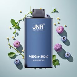 JNR Mega Box 25000 Puffs ブルーベリーアイス デュアルメッシュコイル
