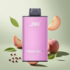 JNR Mega Box 25000パフ ジューシーピーチ