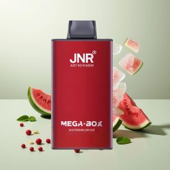 JNR Mega Box 25000パフ スイカアイス デュアルメッシュコイル