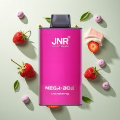 JNR Mega Box 25000パフ ストロベリーアイス デュアルメッシュコイル