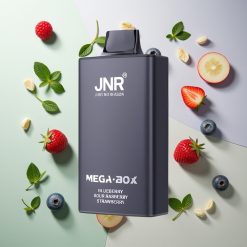 JNR Mega Box 25000パフ ブルーベリーサワーラズベリースロベリー