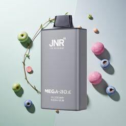 JNR Mega Box 25000パフ ブルーベリーバブルガム デュアルメッシュコイル
