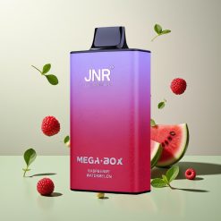 JNR Mega Box 25000パフ ラズベリーウォーターメロン ディスポーザブルベイプ