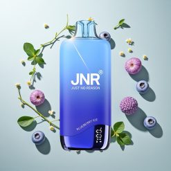 JNR Rainbow 10500パフ ブルーベリーアイス 18ml