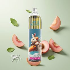 JNR Rocket-X 12400 パフ ピーチアイス RGBライト