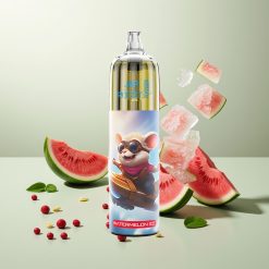 JNR Rocket-X 12400 パフス ウォーターメロンアイス Type-Cクイックチャージ