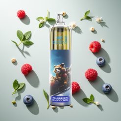 JNR Rocket-X 12400 ブルーベリーレーズベリー 850mAh