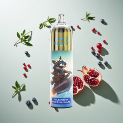 JNR Rocket-X 12400パフ ブルーベリーポメグラネート 850mAh