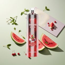 JNR Shisha Hookah 12000 Puffs チェリーウォーターメロンフリーズ