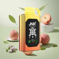 JNR Shisha Hookah Box 20500 Puffs ジューシーピーチーズ