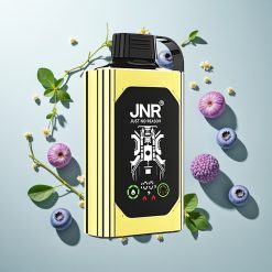 JNR Shisha Hookah Box 20500 Puffs ブルーベリーアイス デュアルメッシュコイル