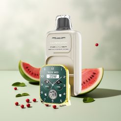 JNR VapeWatch 30000パフス スイカアイス デュアルメッシュコイル