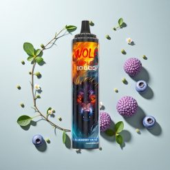 JNR Wolf Niplo 10000パフ ブルーベリーオンアイス 20ml