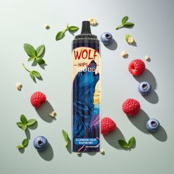 JNR Wolf Niplo 10000パフ ブルーベリーサワーラズベリー タイプ-C急速充電