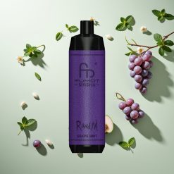 RandM Fumot Shisha 10000 ぷっぷ グレープミント メッシュコイル