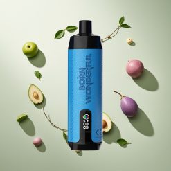 RandM Fumot Shisha 10000パフ Cush Man