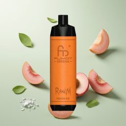 RandM Fumot Shisha 10000パフ ピーチアイス
