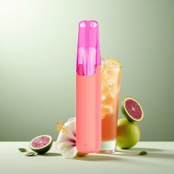 Snowplus Dash 4000プフ ハイビスカスアイスティー セラミック