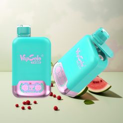 Vapsolo Twins 20000パフ トリプルメロン＆ラズベリーワーターメロン