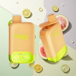 Vapsolo Twins 20000パフ レモンライム＆ウォーターメロンアイス