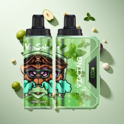 VapSolo VIKING 12000パフ フレッシュミント 22ml