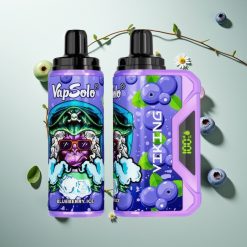 VapSolo VIKING 12000パフ ブルーベリー 22ml