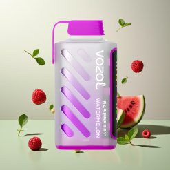 VOZOL Gear Power 20000 パフ ラズベリーウォーターメロン デュアルメッシュコイル